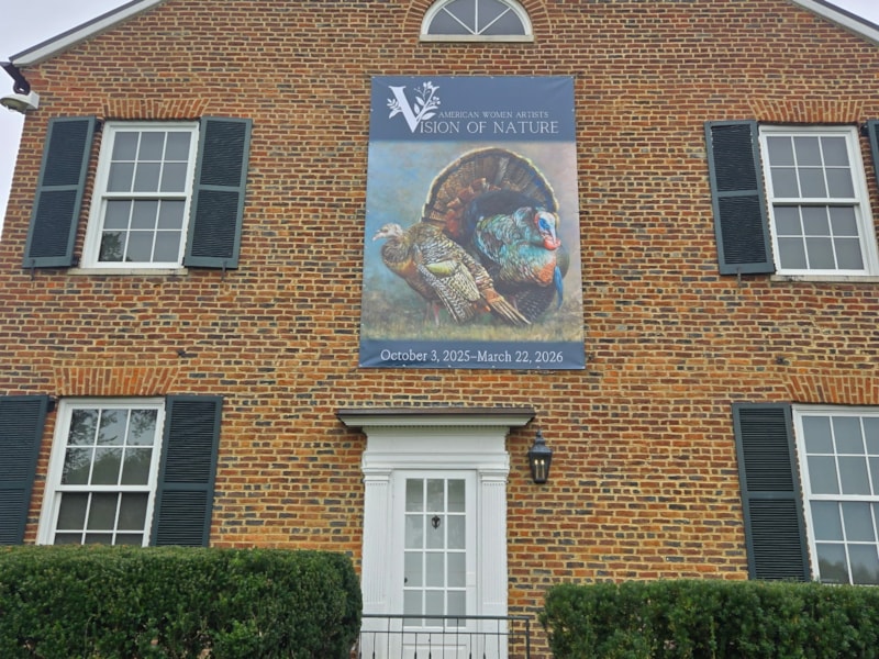 Fabric & Vinyl Outdoor Banners | Professional Services | Vinyl