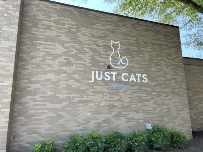 Dimensional Logo and Lettering 