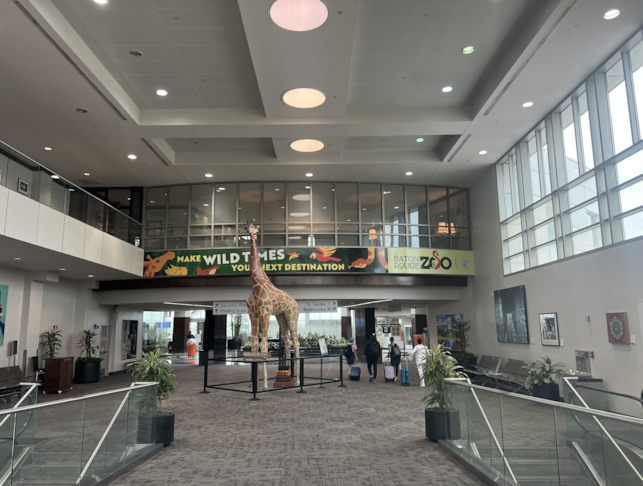 Wall Murals & Graphics | Advertising Agencies