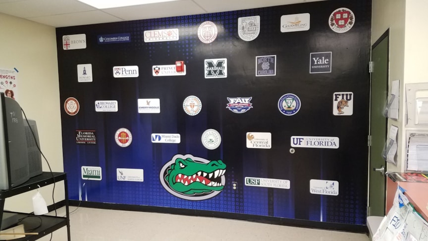 Wall Graphics, Murals, Wallpaper