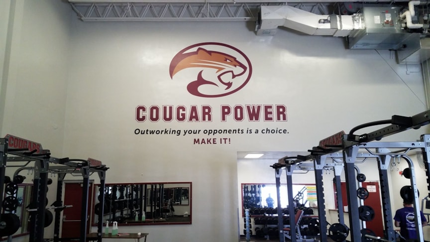 Wall Graphics, Murals, Wallpaper