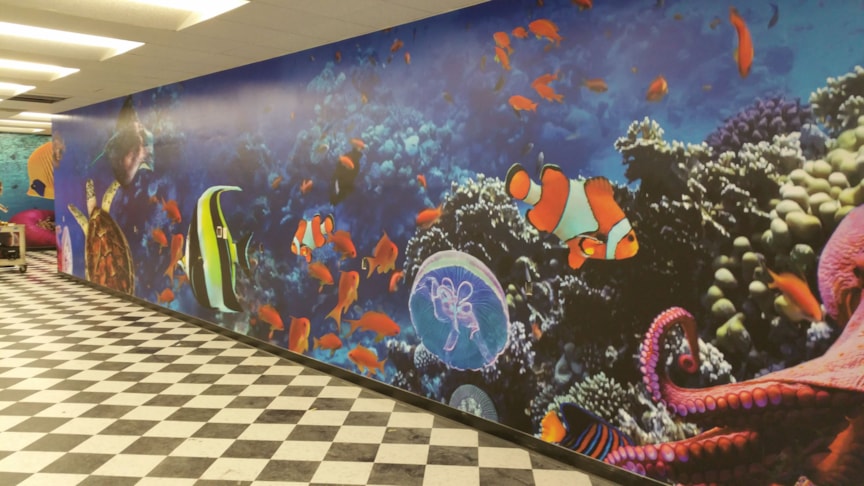Wall Graphics, Murals, Wallpaper