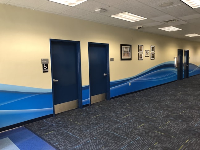 Wall Graphics, Murals, Wallpaper