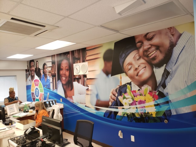 Wall Graphics, Murals and Custom Wallpaper