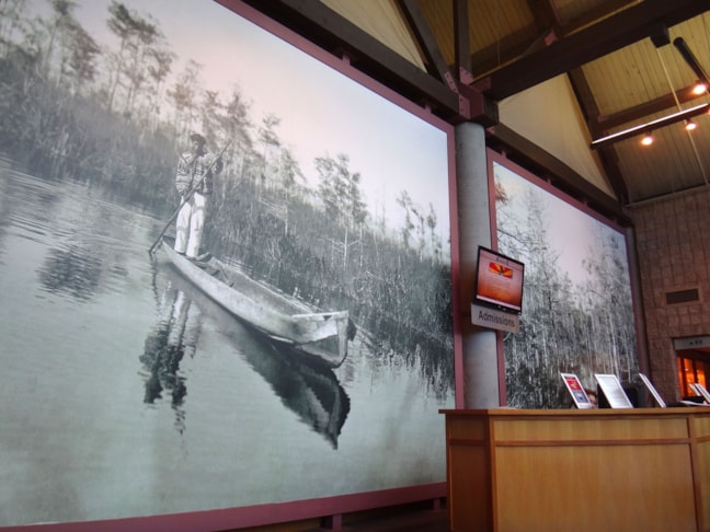 Wall Graphics, Murals and Custom Wallpaper