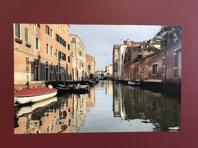 Custom premium wall adhesive that can be applied to walls and windows 