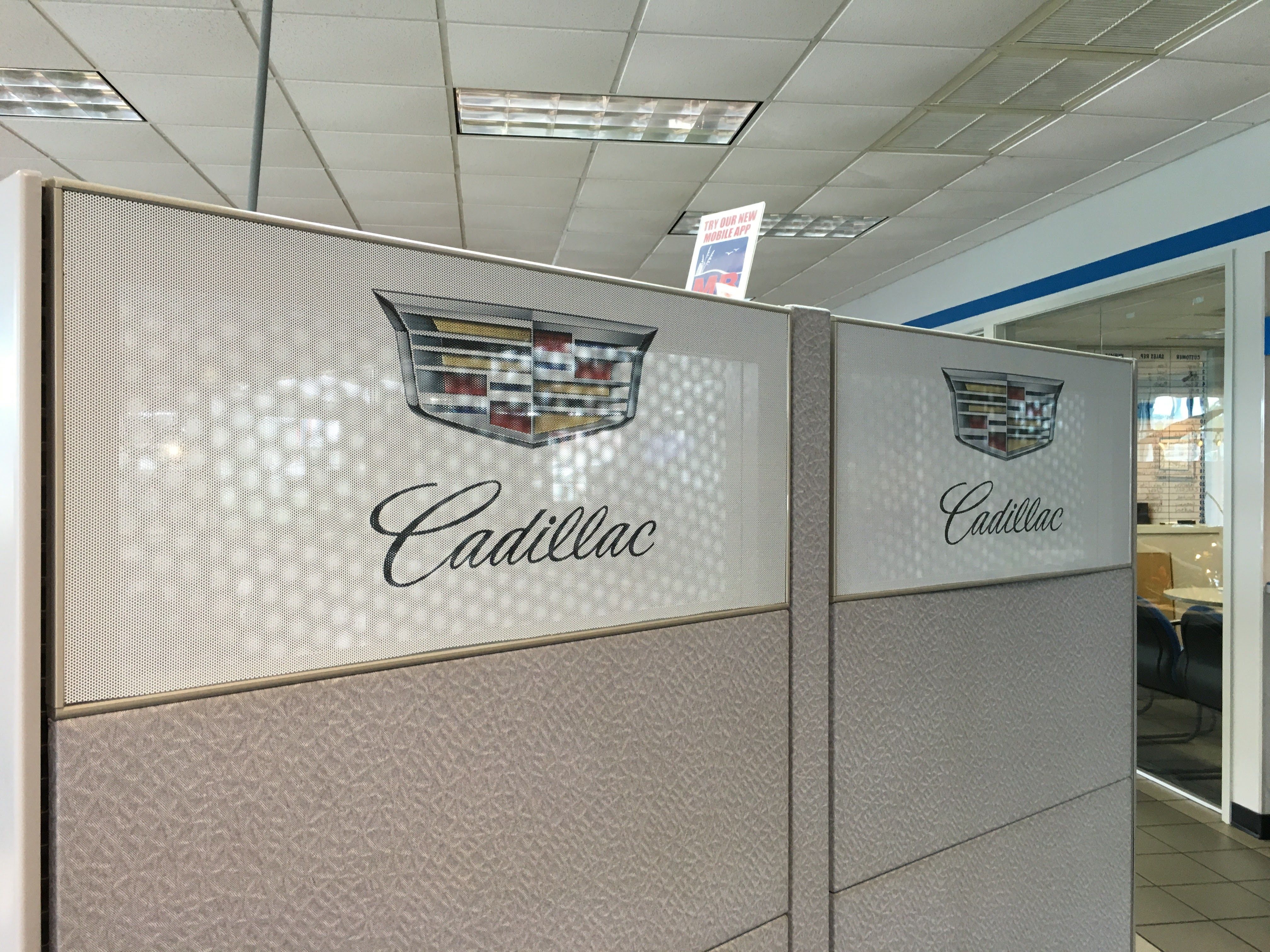 Myrtle Beach Chevrolet Cadillac Perforated Cadillac Window