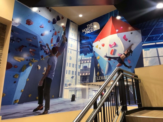 Wall Graphics, Murals, Wallpaper