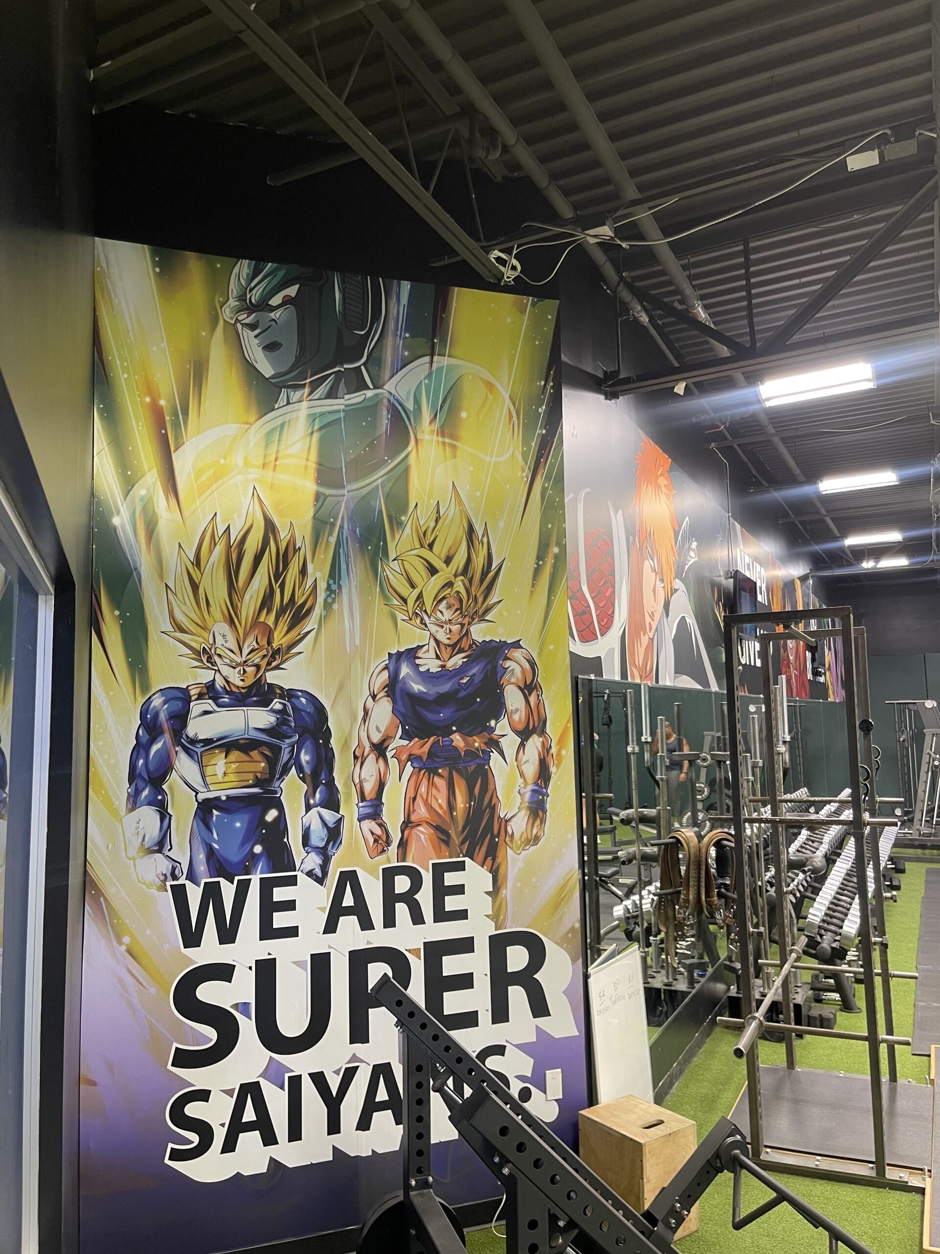 Wall Murals & Graphics