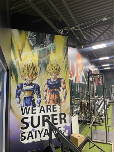 Wall Murals & Graphics