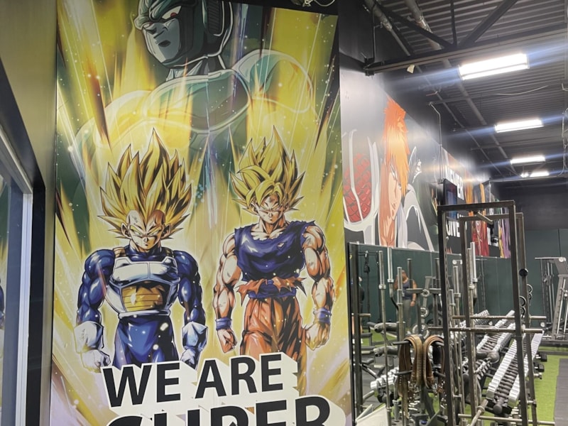 Wall Murals & Graphics