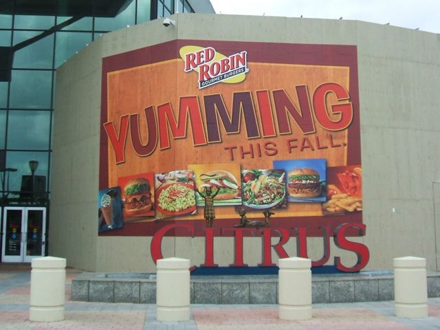 Wall Murals and Graphics