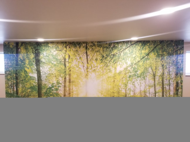 Wall Graphics, Murals, & Custom Wallpaper | Healthcare
