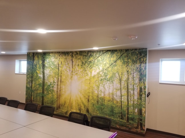 Wall Graphics, Murals, & Custom Wallpaper | Healthcare