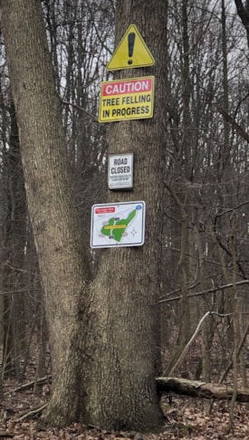 Safety & Regulatory Signs