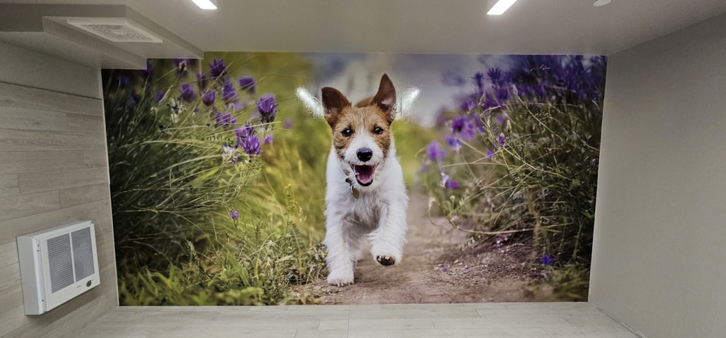 Wall Murals & Graphics | Property Management