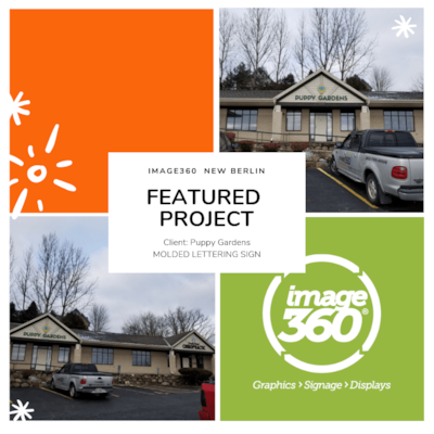 FEATURED PROJECT - Puppy Gardens