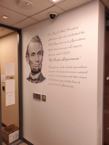 Wall Murals & Graphics