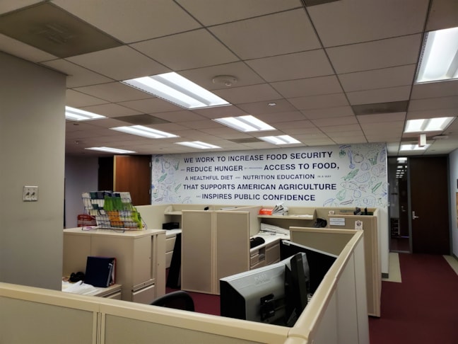Wall Murals & Graphics
