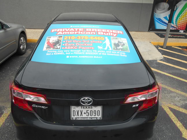 Vehicle Decals and Lettering