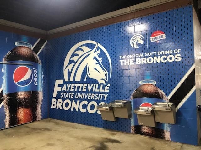 Wall Graphics, Murals, & Custom Wallpaper