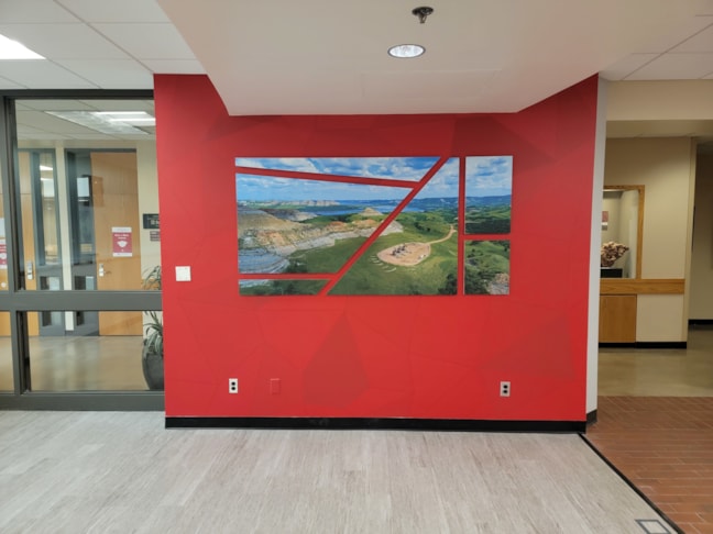 Wall Murals & Graphics