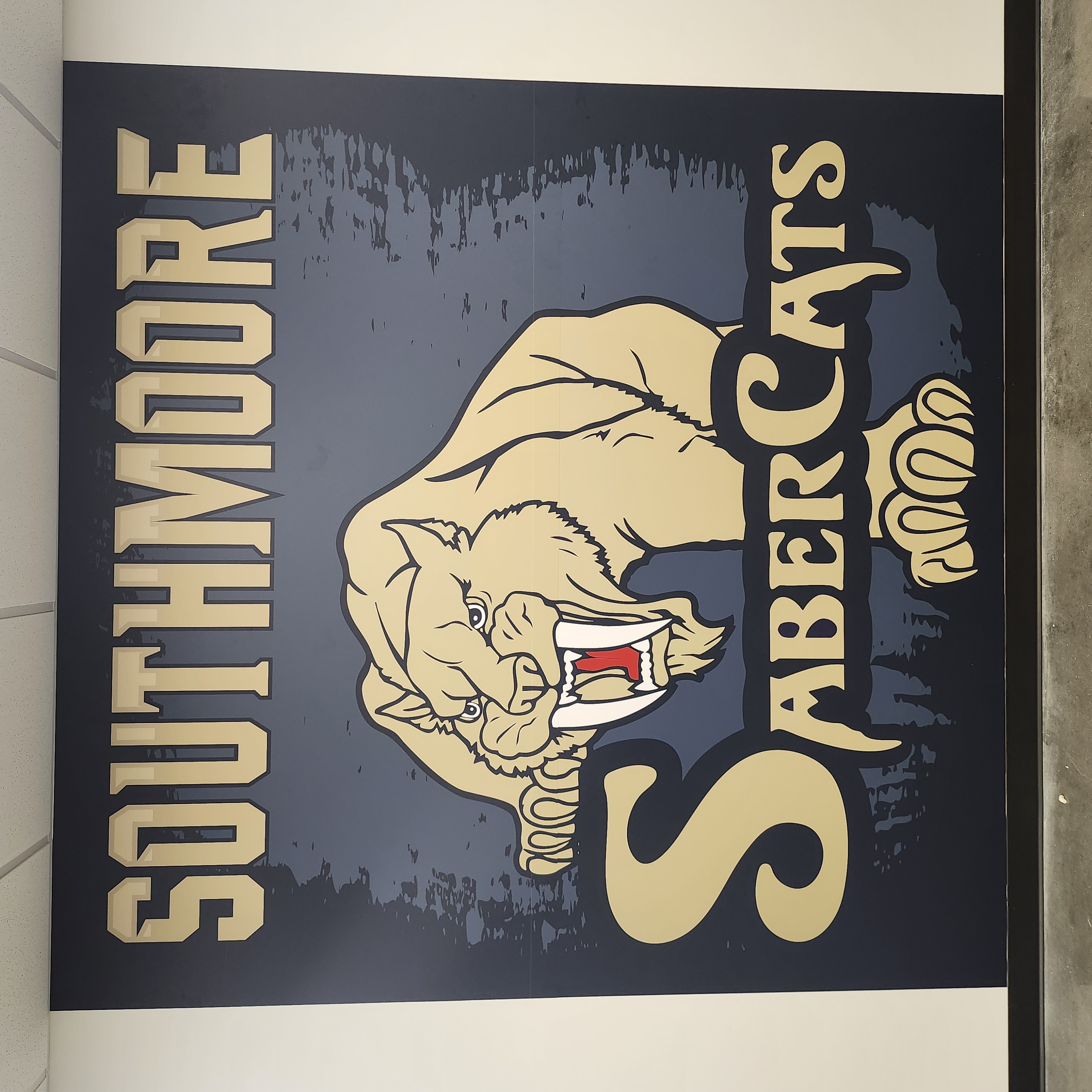 Wall Murals | K-12 School Signs & Displays | Moore, OK | Vinyl
